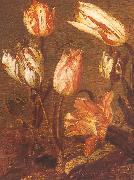 Jacob Gerritsz Cuyp Tulip Field oil painting on canvas